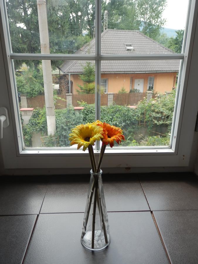 Country house Rodinne Vinarstvi Mikulenkovi *